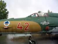 _pa030922_gyz_329_mig_21_small.jpg